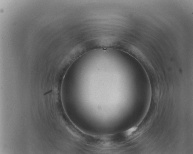 X0000062910497200601201940