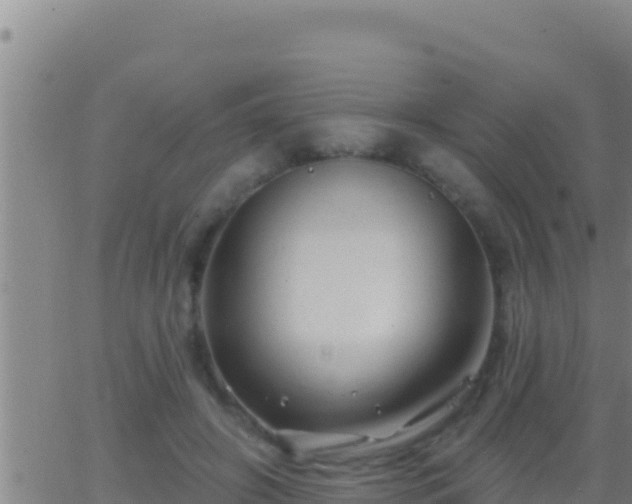 X0000062910498200601201940