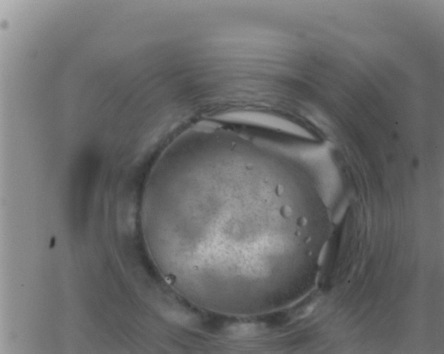 X0000062910499200601201940