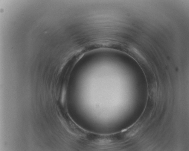 X0000062910500200601201940