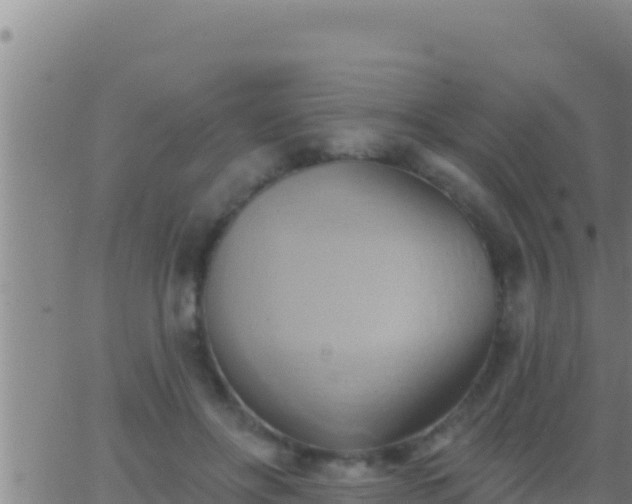 X0000062910502200601201940