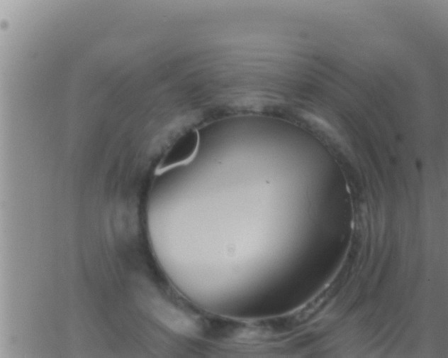 X0000062910504200601201940