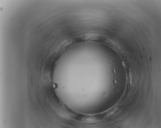 X0000062910506200601201940