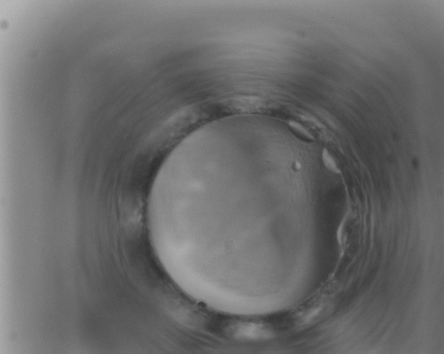 X0000062910507200601201940