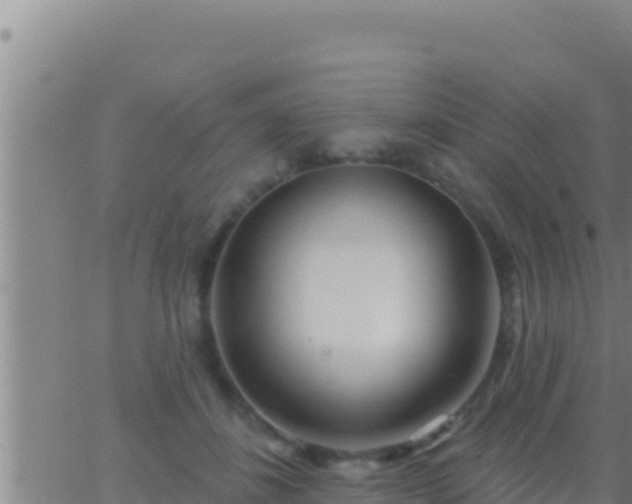 X0000062910508200601201940