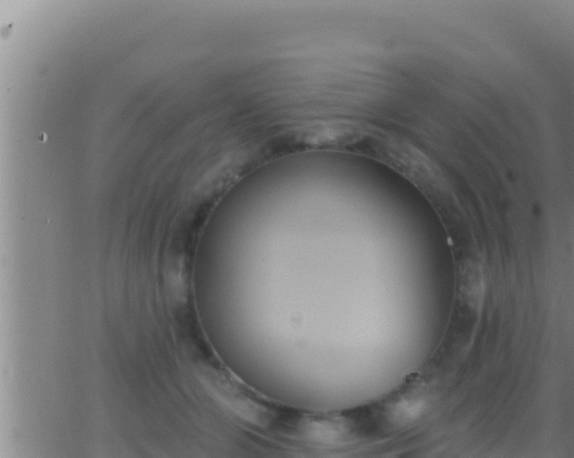 X0000062910510200601201940