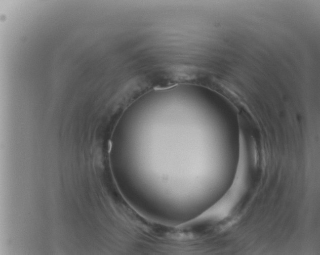 X0000062910512200601201940