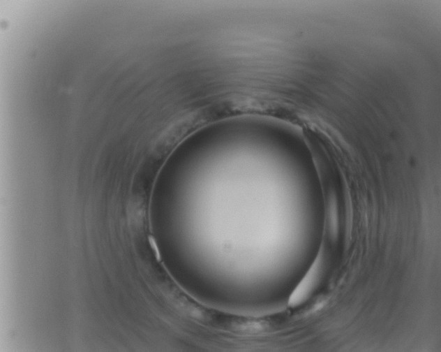 X0000062910513200601201939