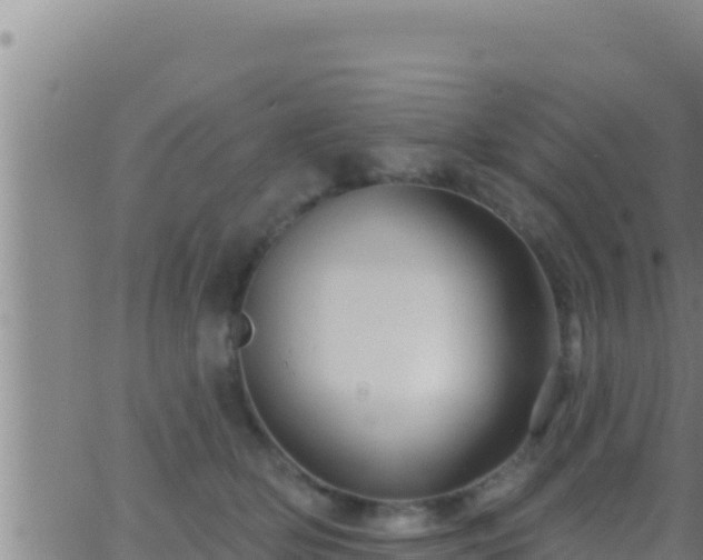 X0000062910514200601201939