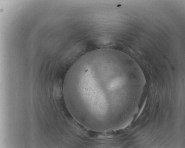 X0000062910515200601201939