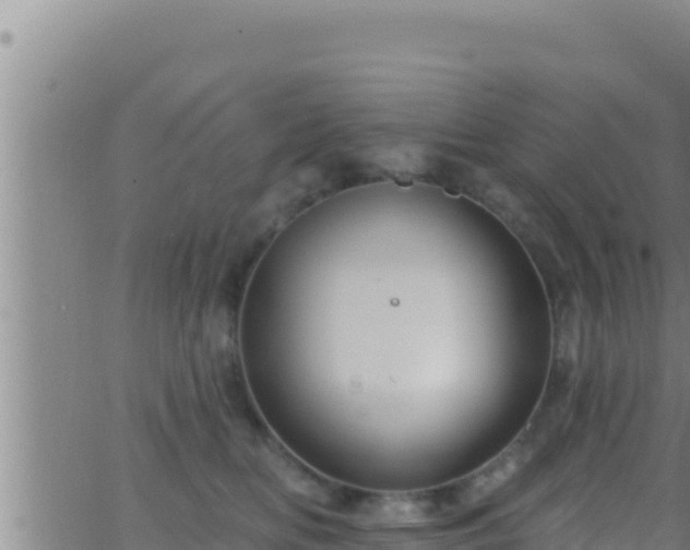 X0000062910518200601201939