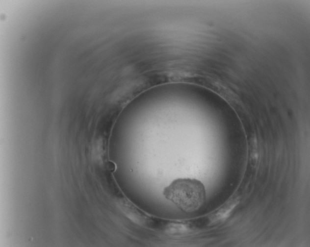 X0000062910519200601201939