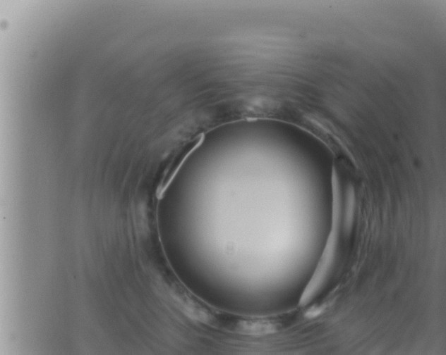 X0000062910520200601201939