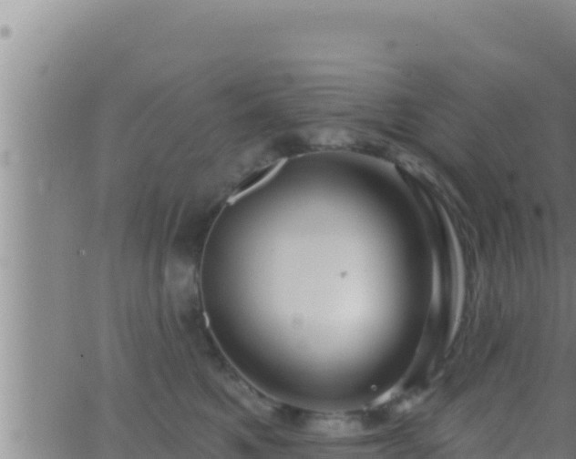 X0000062910521200601201939