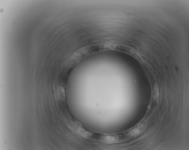 X0000062910522200601201939