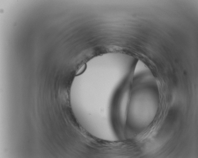 X0000062910523200601201939