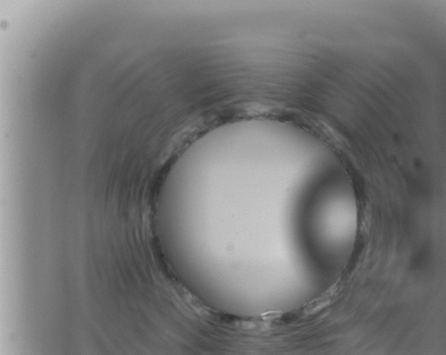 X0000062910524200601201939