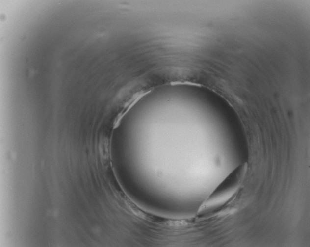 X0000062910528200601201939