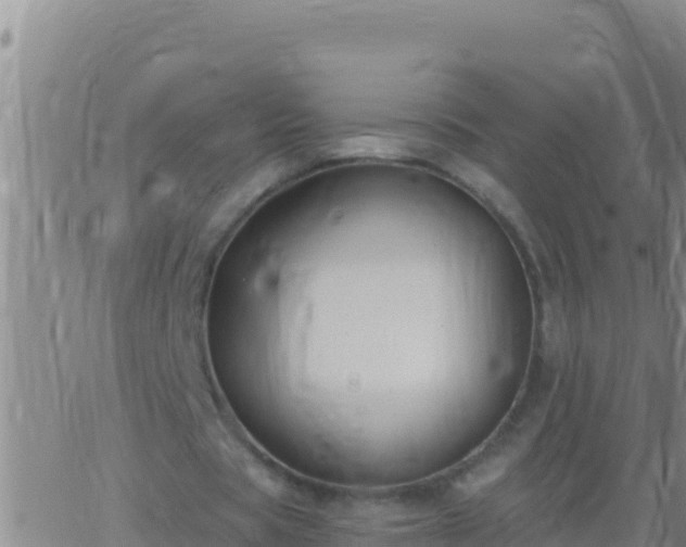 X0000062910529200601201938