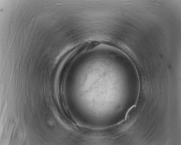 X0000062910530200601201938