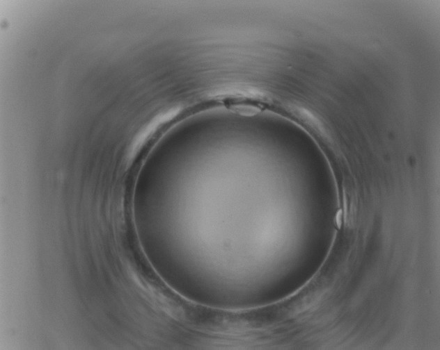 X0000062910531200601201938