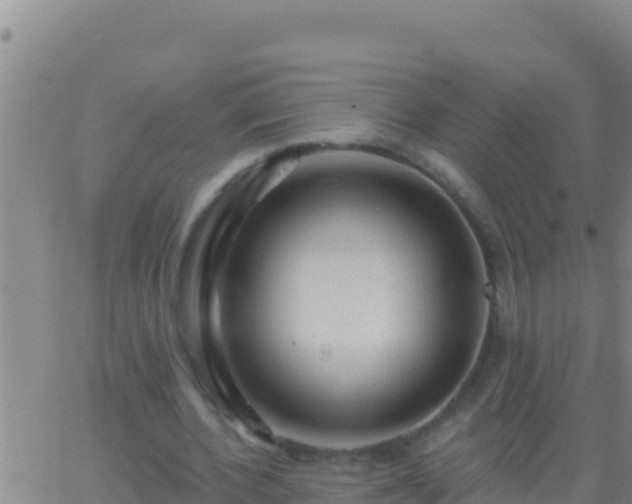 X0000062910532200601201939