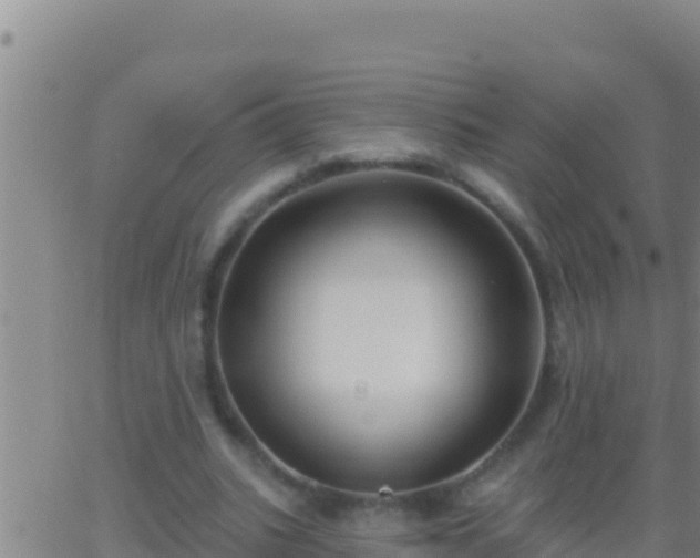 X0000062910535200601201939