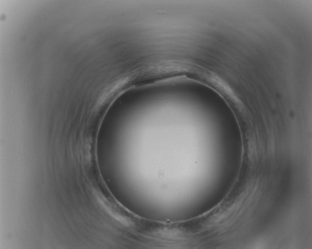 X0000062910537200601201939