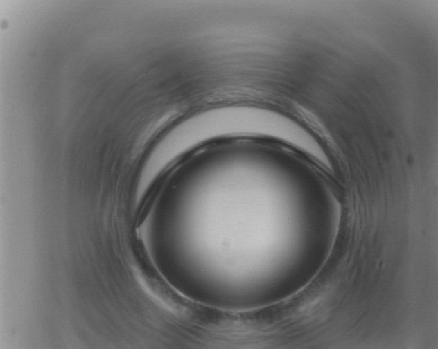 X0000062910538200601201939