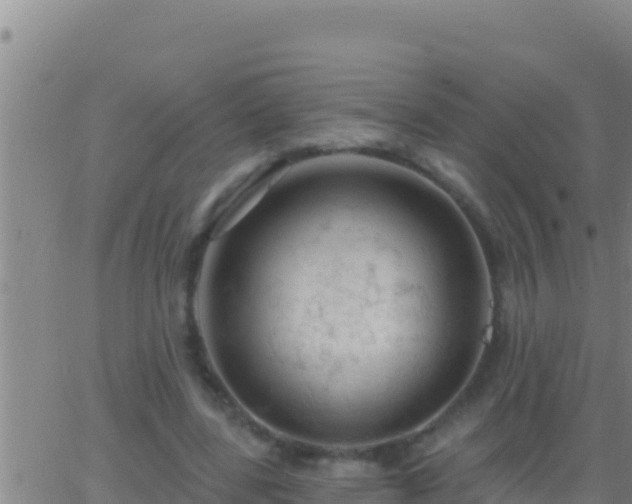 X0000062910539200601201939