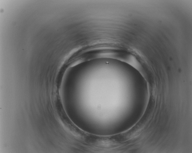 X0000062910540200601201939