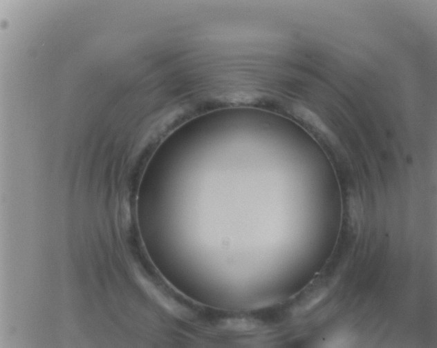 X0000062910541200601201939