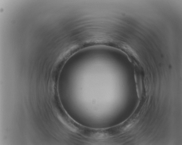 X0000062910542200601201939