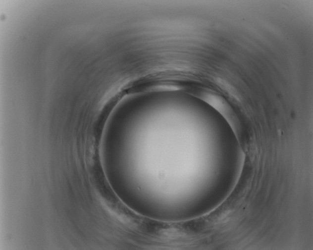 X0000062910544200601201939