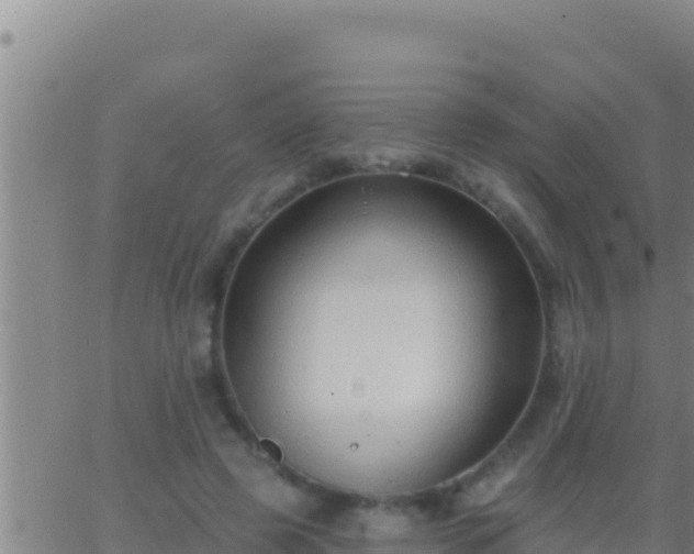 X0000062910545200601201939