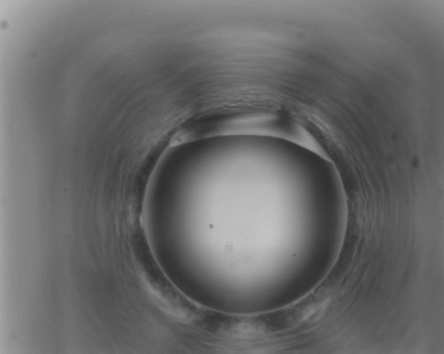 X0000062910546200601201939