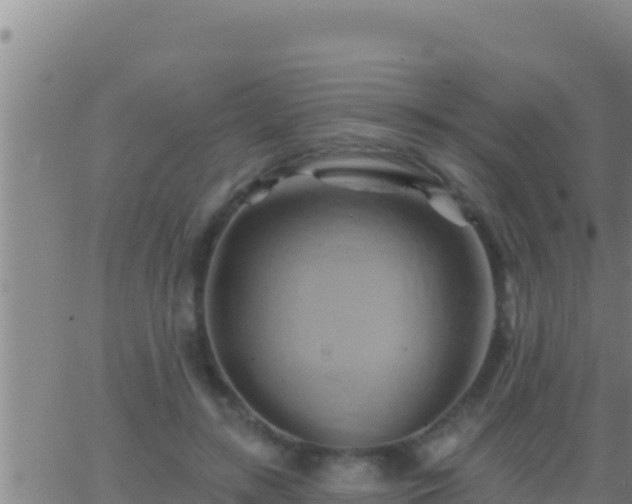 X0000062910547200601201939