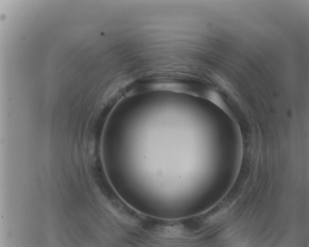 X0000062910548200601201939