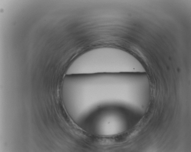 X0000062910549200601201939