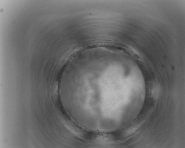 X0000062910550200601201939