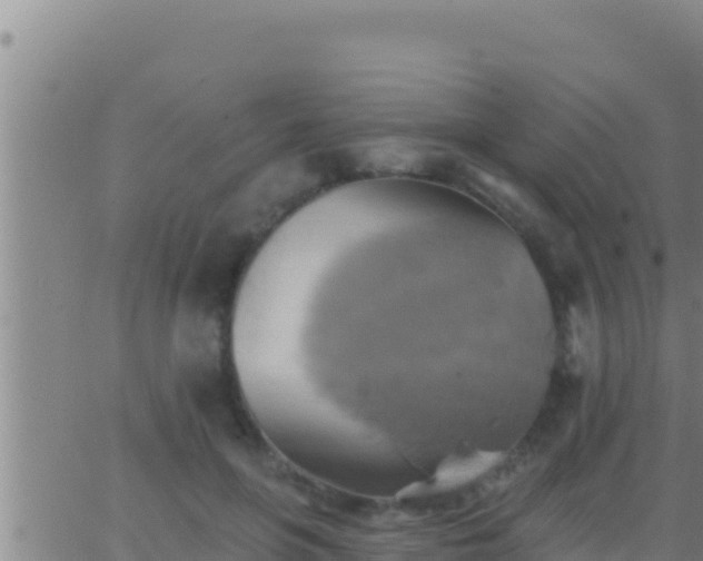 X0000062910551200601201939