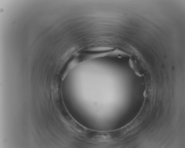 X0000062910552200601201939