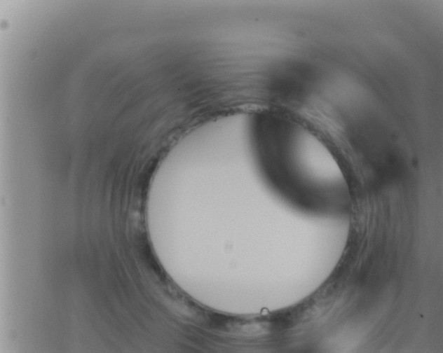 X0000062910553200601201939