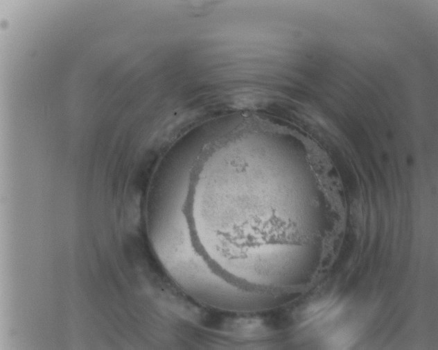 X0000062910554200601201939