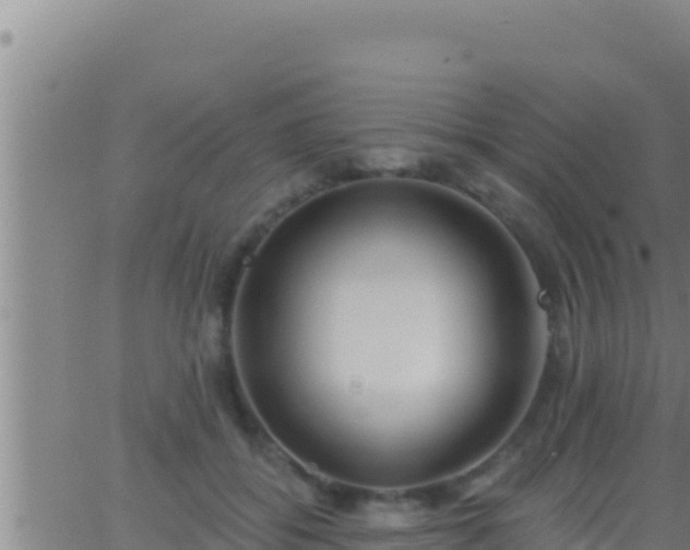 X0000062910556200601201939