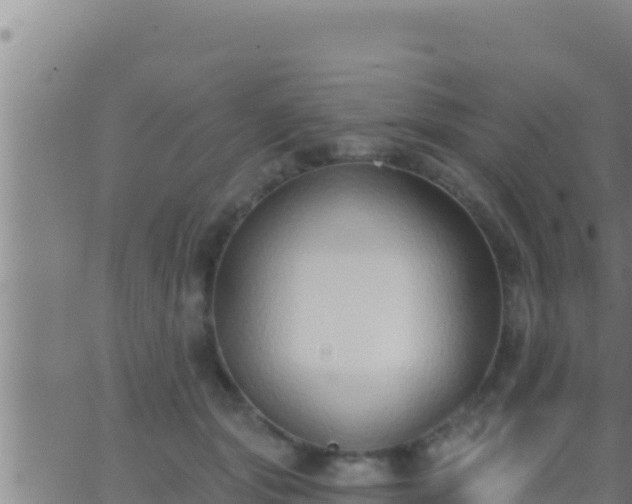 X0000062910557200601201939