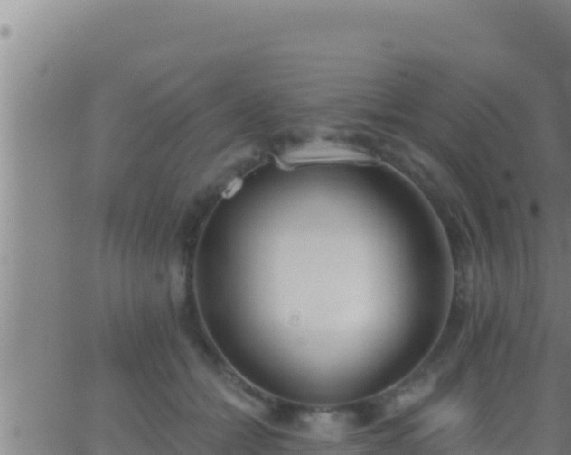 X0000062910558200601201939