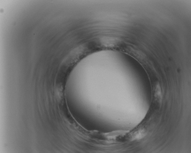 X0000062910559200601201939