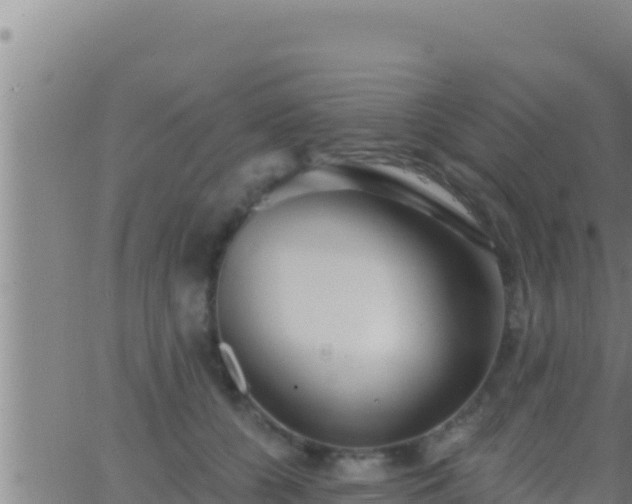 X0000062910560200601201939