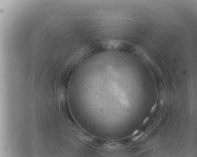 X0000062910561200601201939